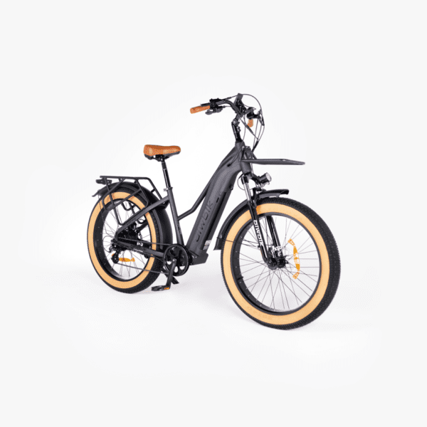 Bicicleta Paseo Sidney - Imagen 3
